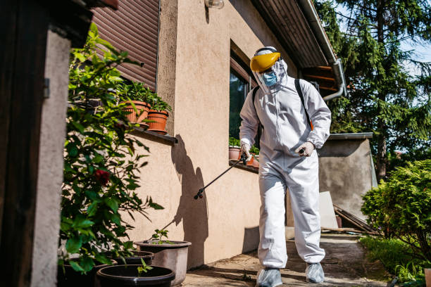 Best Pest Removal Services  in Mayfield, KY