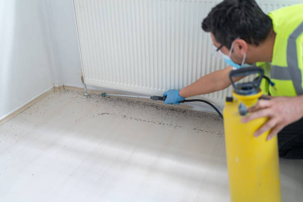 Best Affordable Pest Control Services  in Mayfield, KY