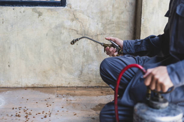 Best Wasp Removal Services  in Mayfield, KY